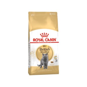 Royal Canin FBN British Shorthair - Image 3