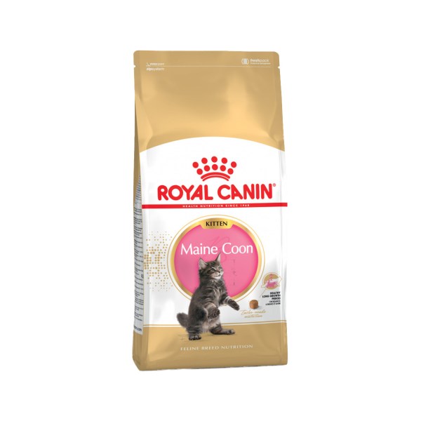 Royal Canin FBN Kitten Maine Coon