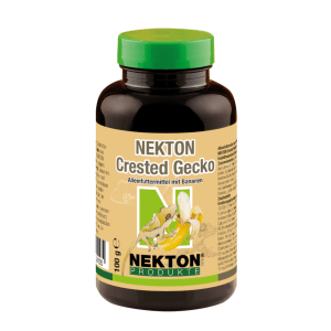 Nekton Crested Gecko c/Banana - Image 9
