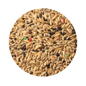 Crescer Mistura para Canários com Biscoito Vitaminado - Image 4