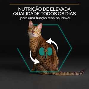 Pro Plan Renal Plus Gato Adulto Frango - Image 7