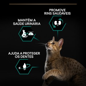 Pro Plan Renal Plus Sterilised Gato Coelho - Image 6