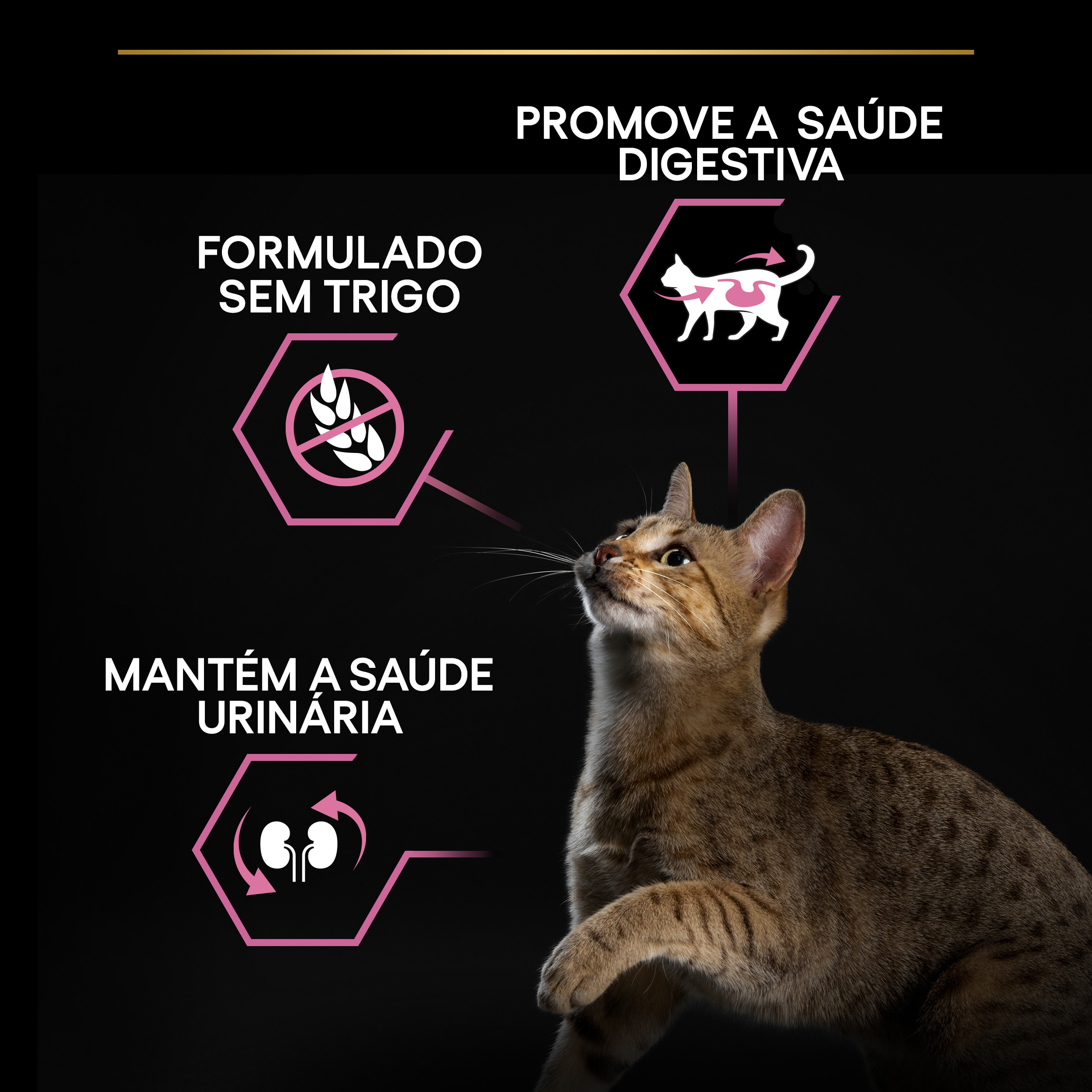 Pro Plan Delicate Digestion Sterilised Gato Adulto Frango - Image 4