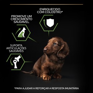 Pro Plan Healthy Start Small and Mini Puppy Frango - Image 7