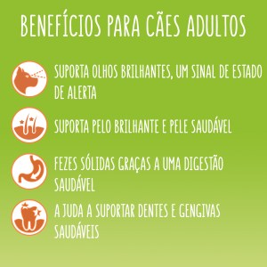 Friskies Cão Adulto Balance Frango, Vaca e Legumes - Image 2