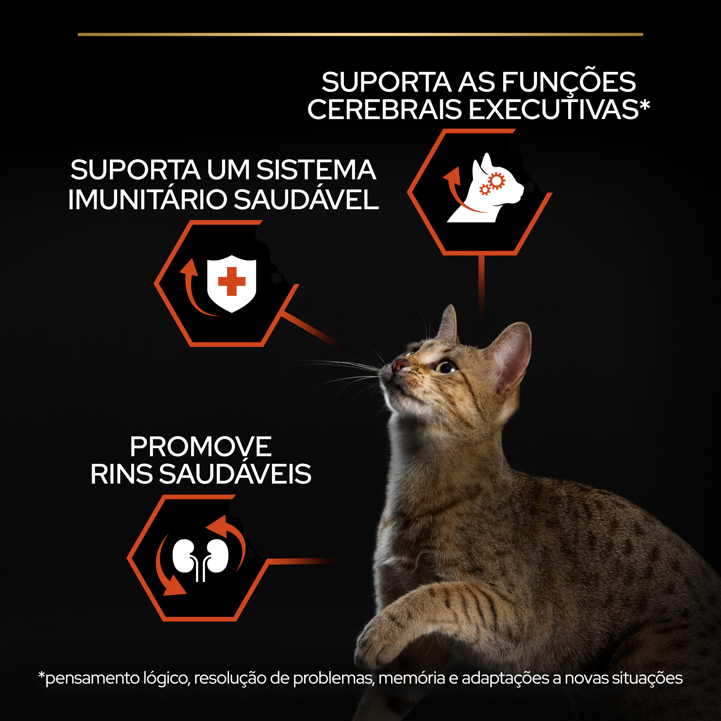 Pro Plan Vital Functions Adulto Salmão - Image 9