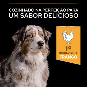 Pro Plan Age Defence Medium and Large 7+ Frango - Image 7