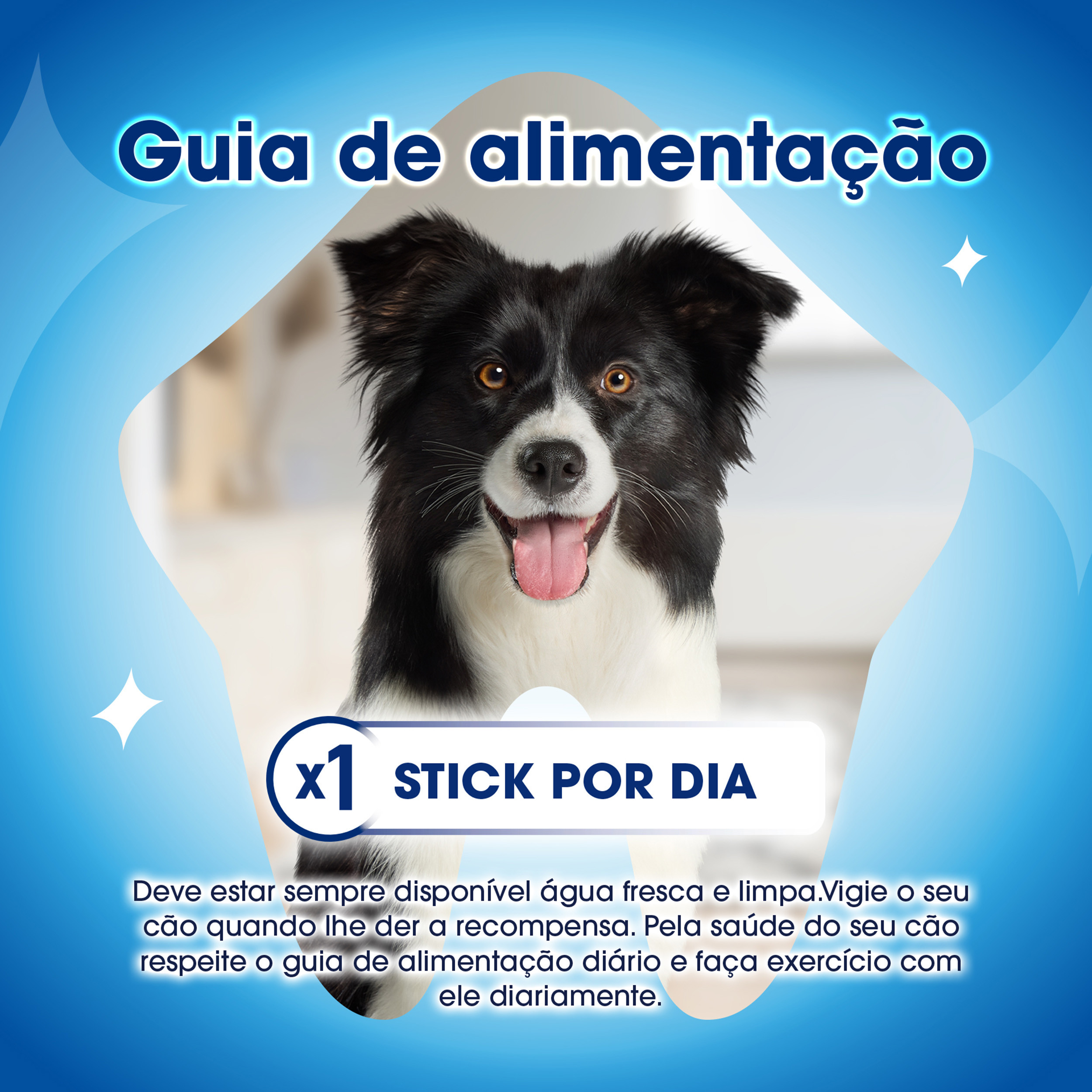 Dentalife Snack para Cão Adulto Grande - Image 6