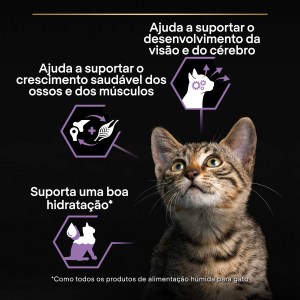 Pro Plan Healthy Start Kitten Peru Molho - Image 5