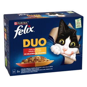 Felix Fantastic Duo Delicious Saborosa Seleção - Image 2
