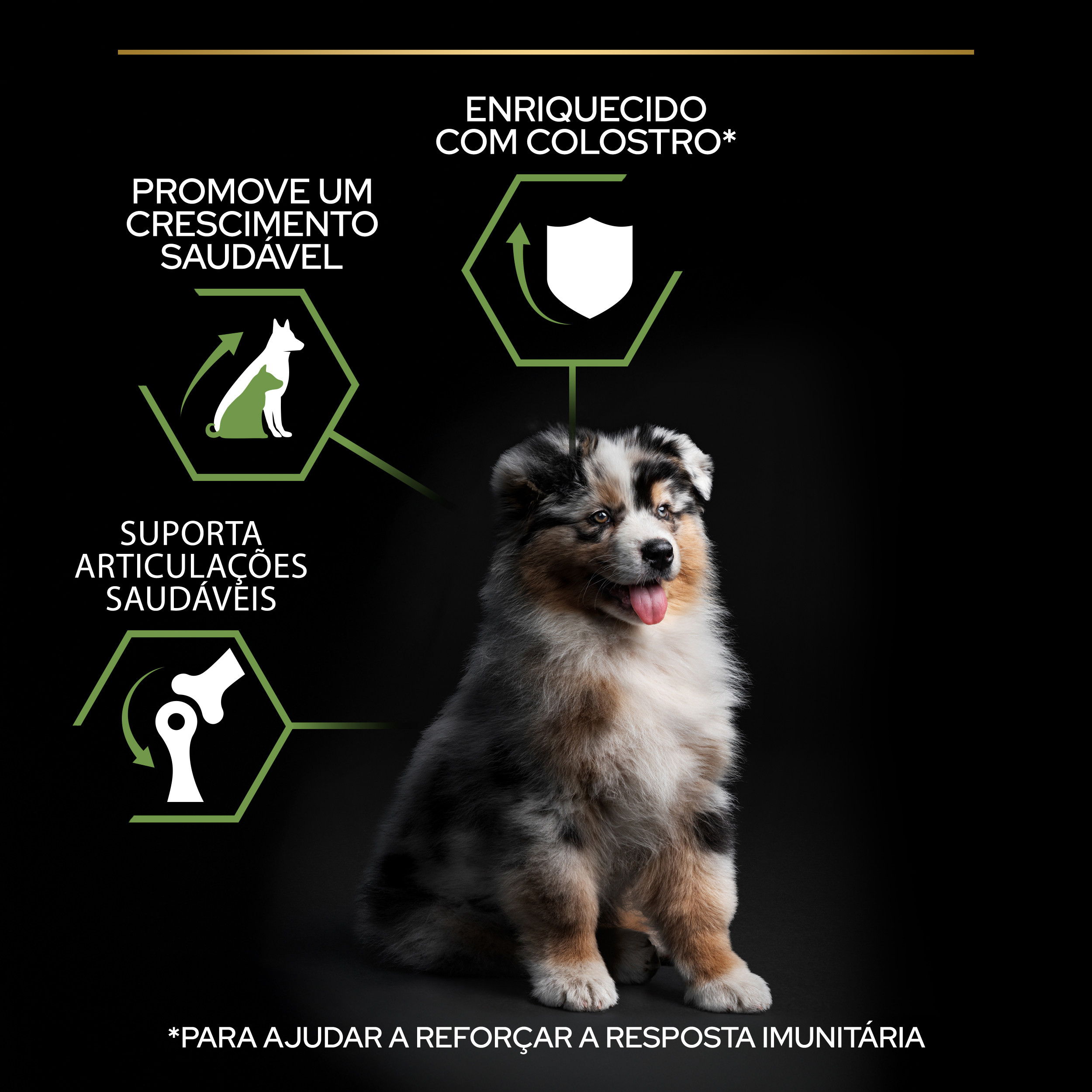 Pro Plan Healthy Start Medium Puppy Frango - Image 6