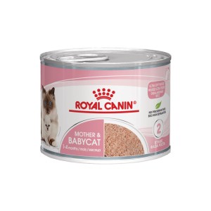 Royal Canin Mother and Babycat Mousse - Image 1