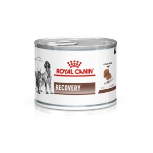 Royal Canin VHN Dog/Cat Recovery - Image 1