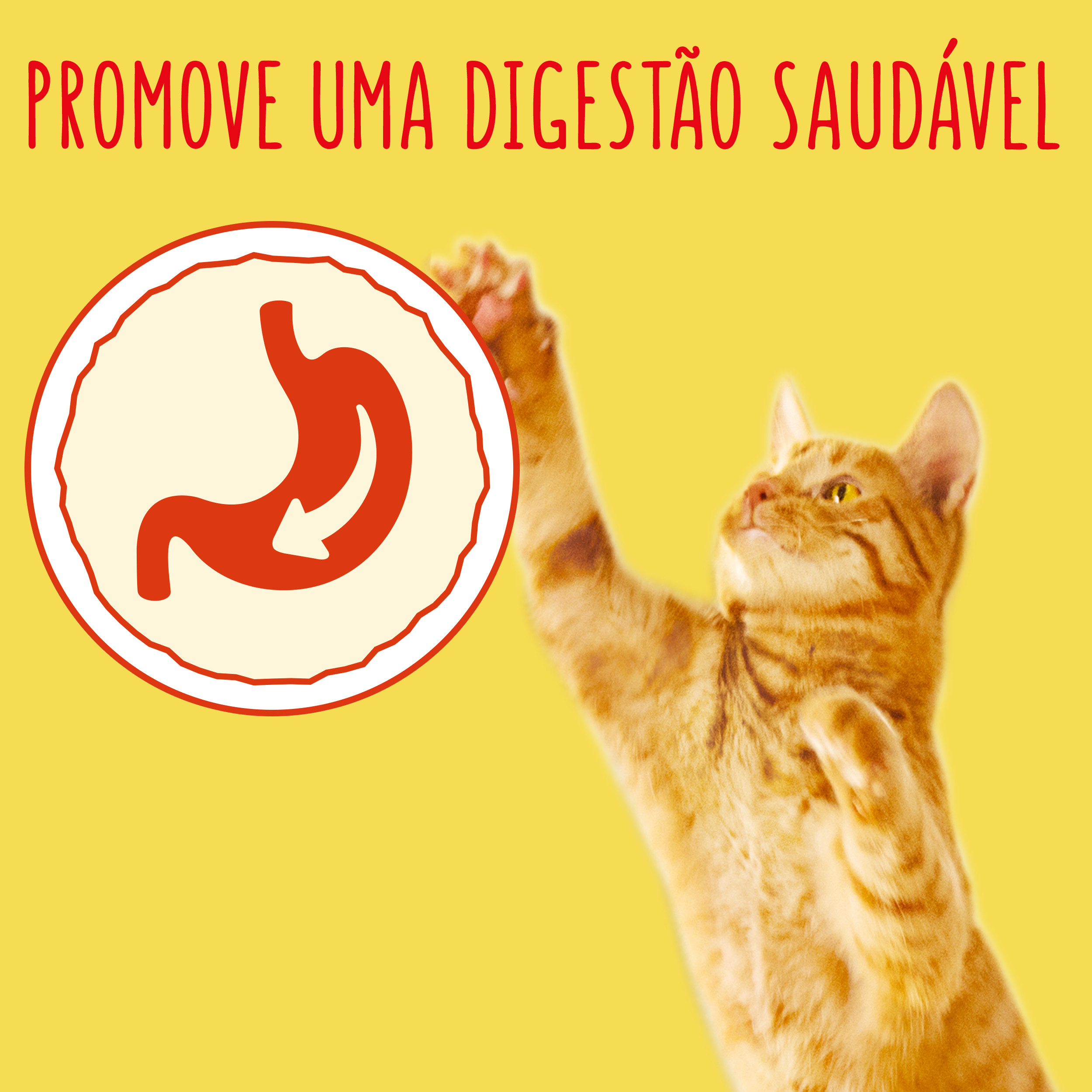 Friskies Gato Coelho, Frango e Legumes - Image 3