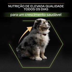 Pro Plan Healthy Start Medium Puppy Frango - Image 5
