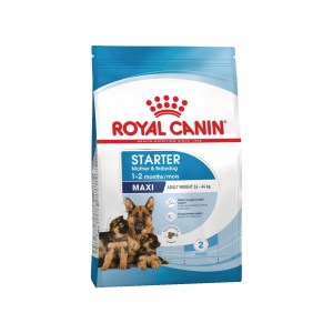 Royal Canin SHN Maxi Starter Mother & Baby - Image 1