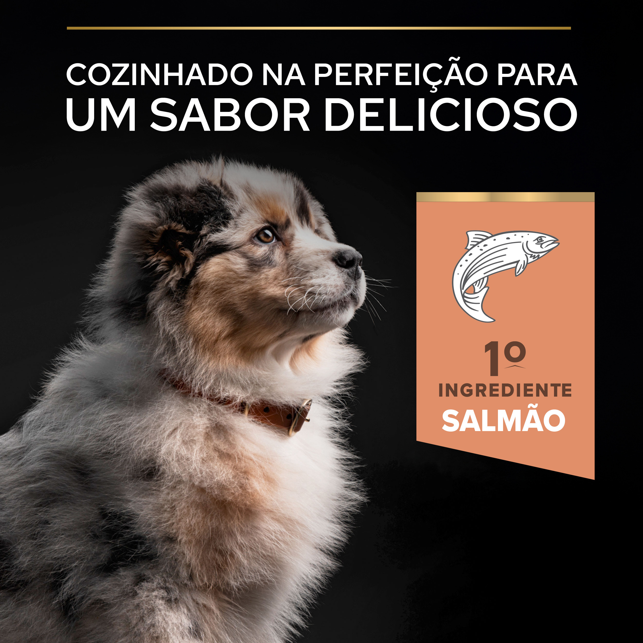 Pro Plan Sensitive Skin Medium Puppy Salmão - Image 7