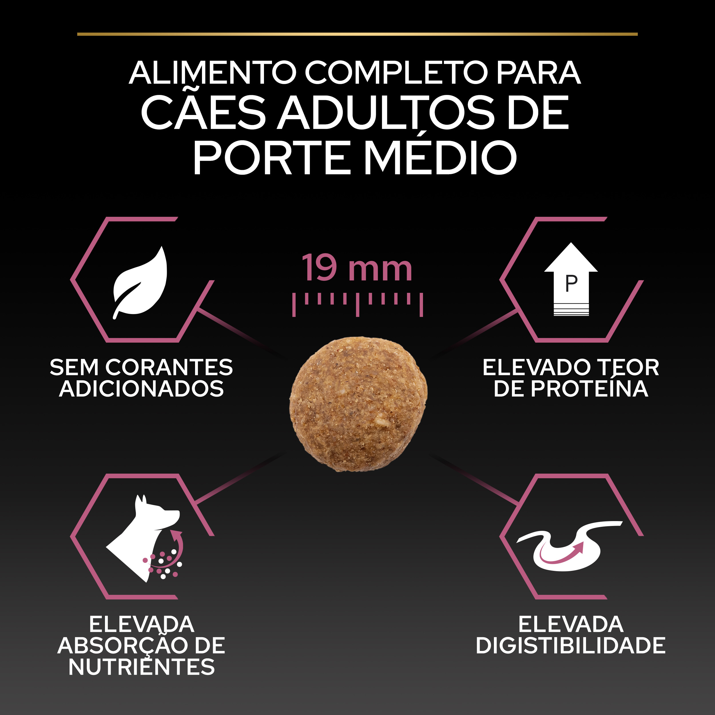 Pro Plan Sensitive Skin Medium Adult Salmão - Image 11