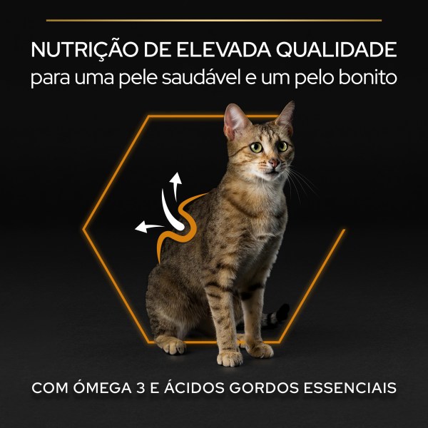 Pro Plan Dermacare Gato Adulto Salmão