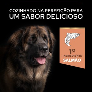 Pro Plan Sensitive Skin Large Robust Adulto Salmão - Image 5