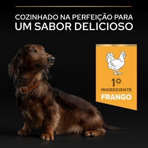 Pro Plan Age Defence Small and Mini 9+ Frango - Image 5