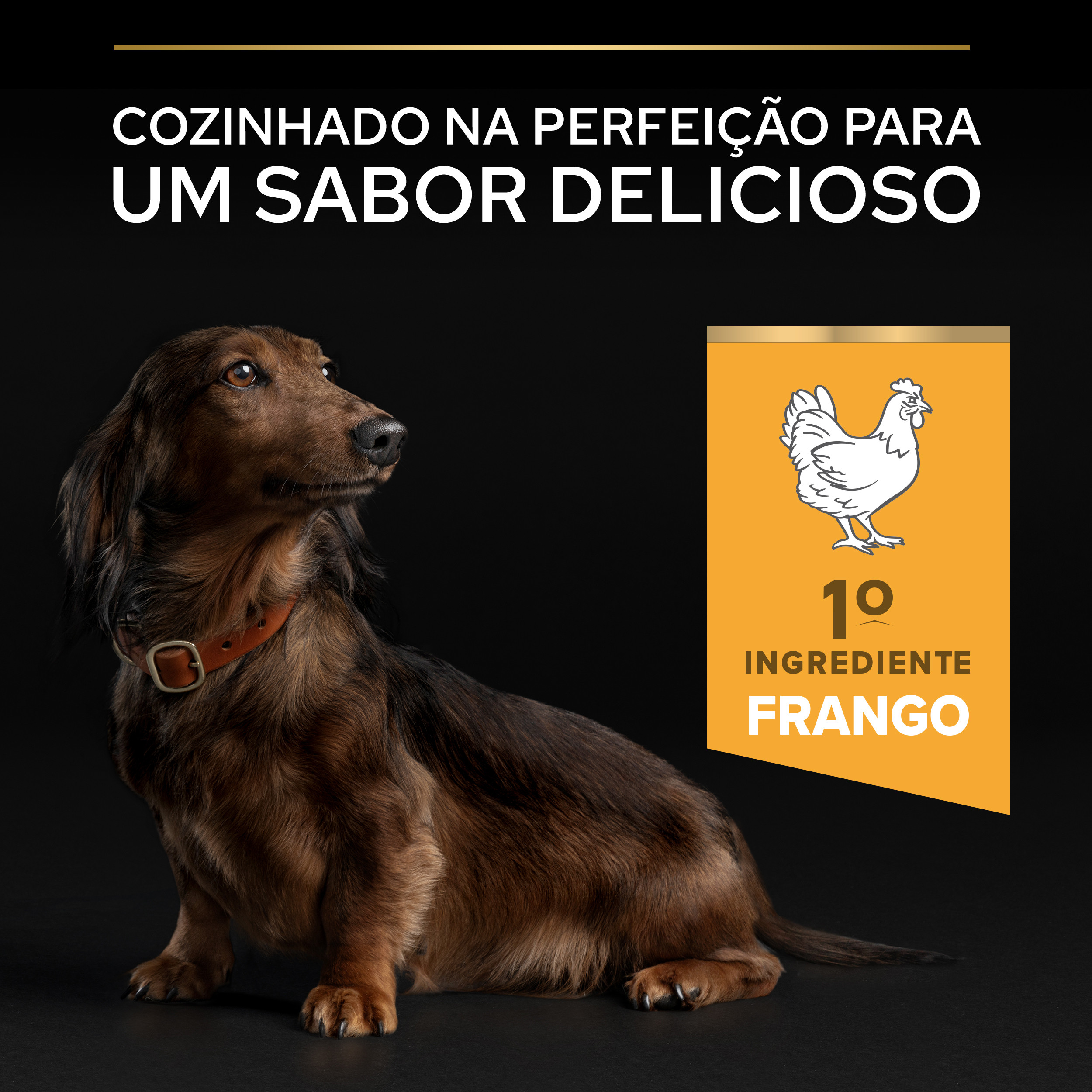 Pro Plan Age Defence Small and Mini 9+ Frango - Image 5