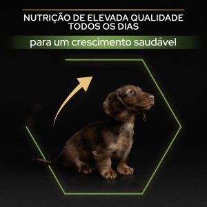 Pro Plan Healthy Start Small and Mini Puppy Frango - Image 6