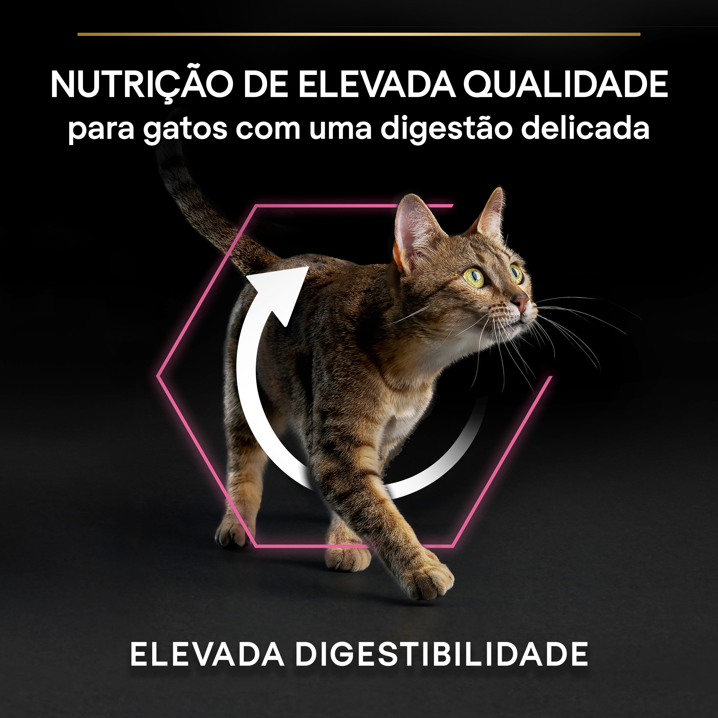 Pro Plan Delicate Digestion Gato Adulto Borrego - Image 3