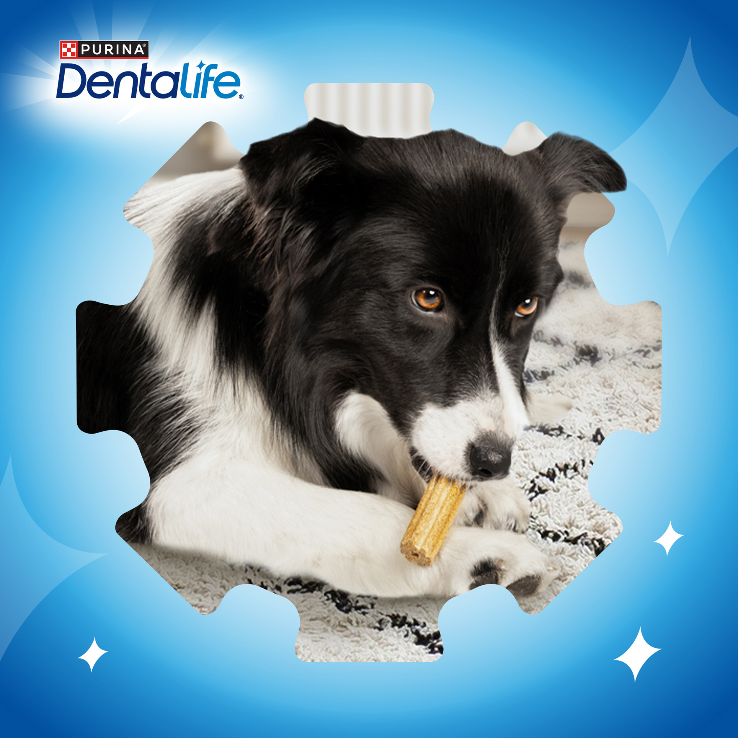 Dentalife Snack para Cão Adulto Grande - Image 9