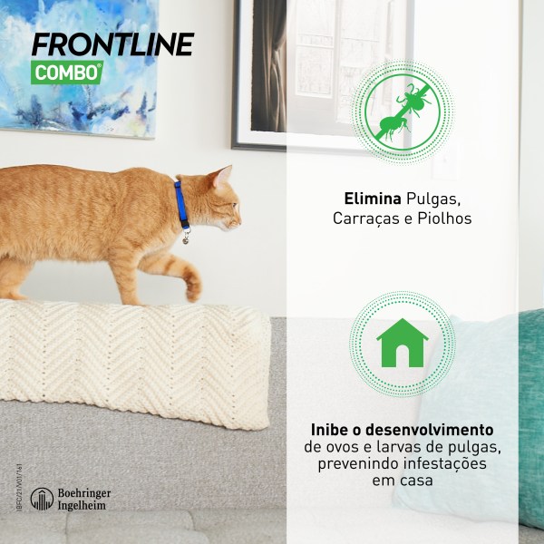 Frontline Combo Gato