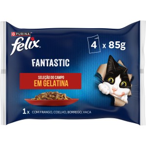 Felix Fantastic Seleção do Campo - Image 1
