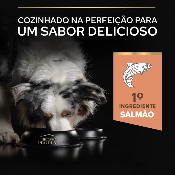 Pro Plan Sensitive Skin Medium Adult Salmão
