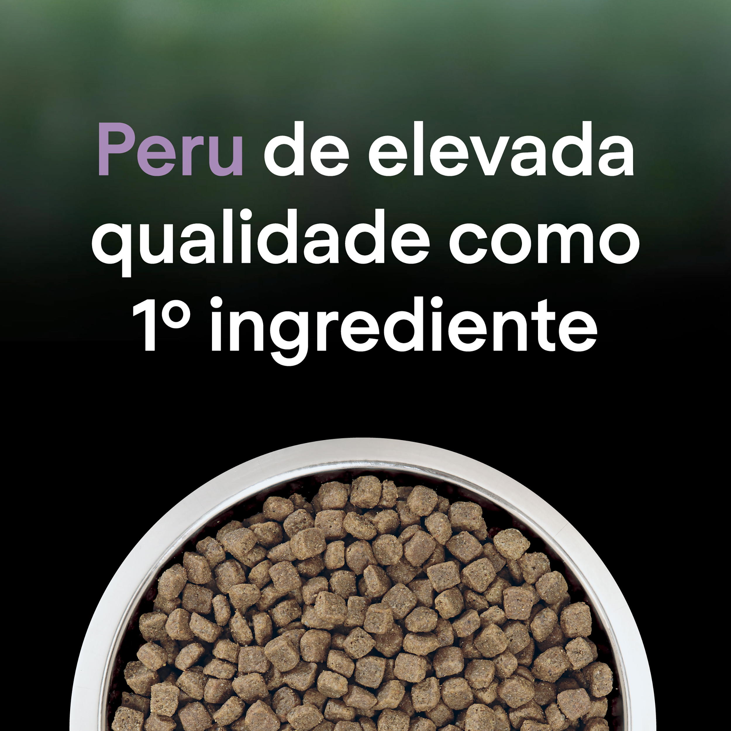 Pro Plan LiveClear Kitten Peru - Image 9
