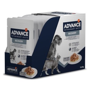 Advance Vet Cão e Gato Recovery Alimento Húmido - Image 2