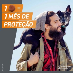 Frontpro Cão M 4 - 10kg - Image 3