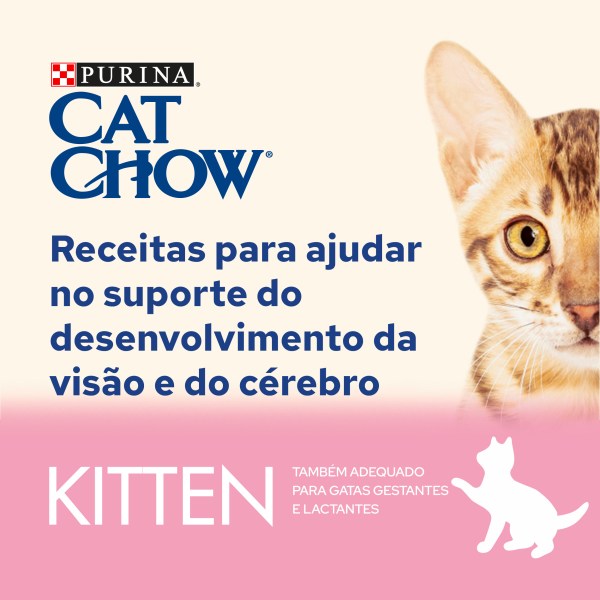Cat Chow Kitten Borrego e Curgete