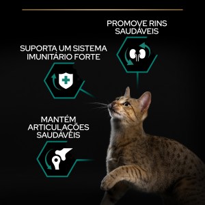 Pro Plan Renal Plus Gato Adulto Frango - Image 8