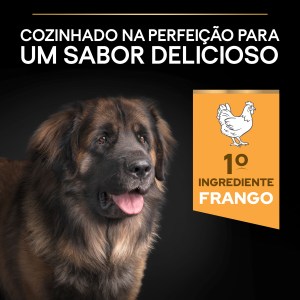 Pro Plan Everyday Nutrition Large Robust Adult Frango - Image 5