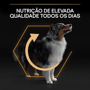 Pro Plan Everyday Nutrition Medium Adulto Frango - Image 5