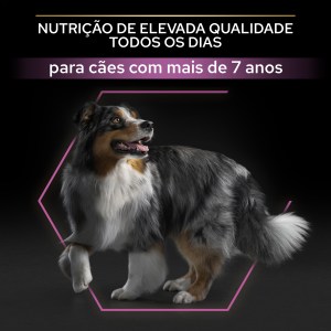Pro Plan Age Defence Medium and Large 7+ Frango - Image 5