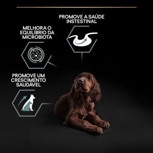 Pro Plan Sensitive Digestion Large Athletic Puppy Borrego - Image 4