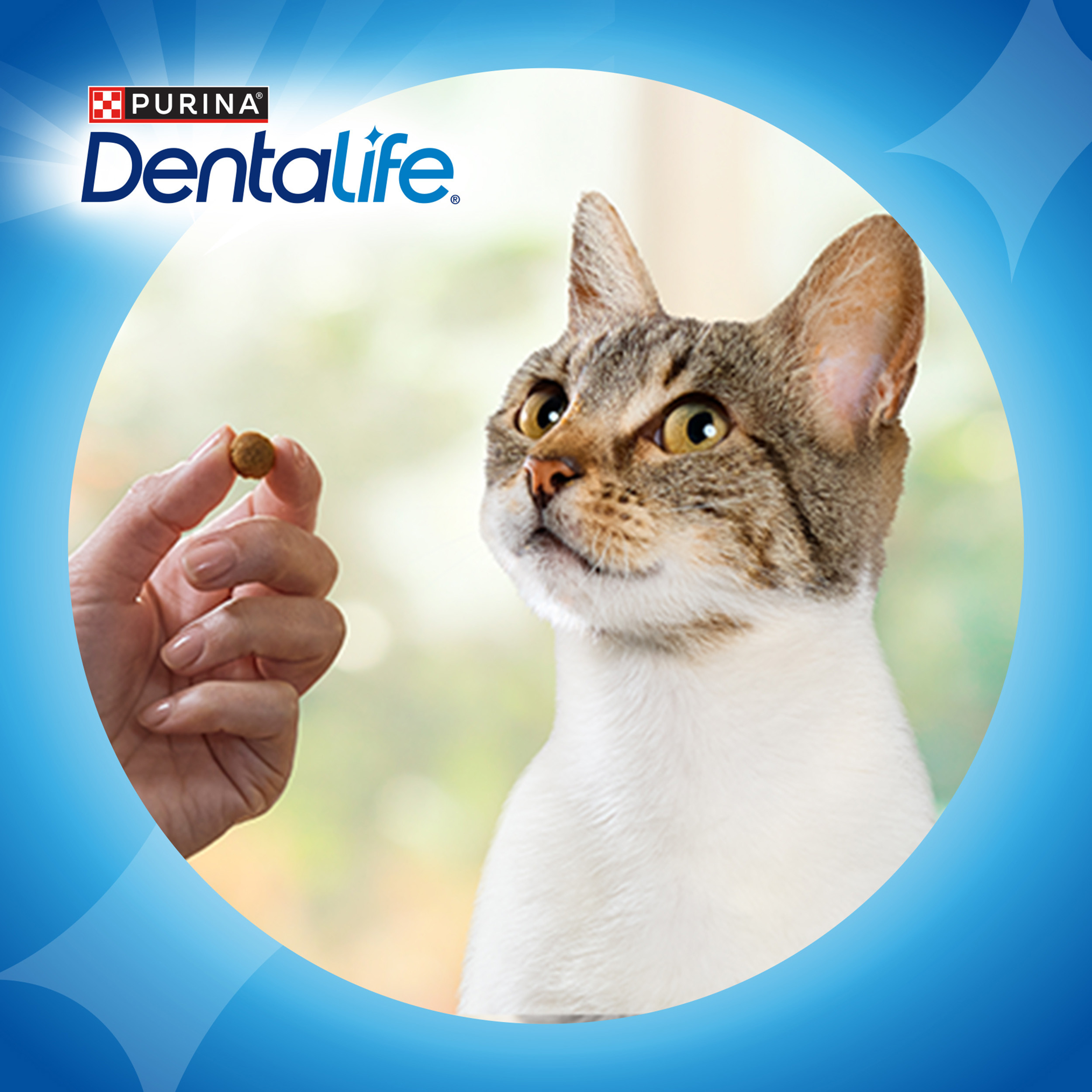Dentalife Snack Gato Frango - Image 8