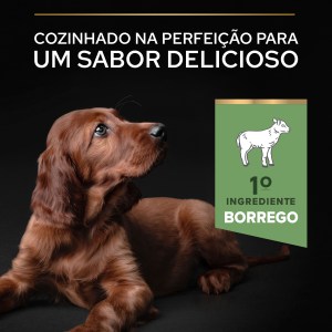 Pro Plan Sensitive Digestion Large Athletic Puppy Borrego - Image 5