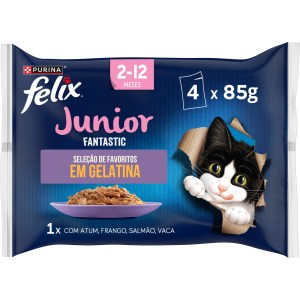 Felix Fantastic Júnior - Image 1
