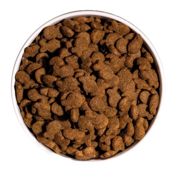 Ownat Classic Cão Adulto Peixe
