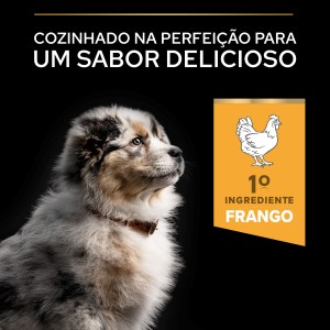 Pro Plan Healthy Start Medium Puppy Frango - Image 7
