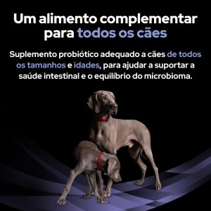 Pro Plan VD FortiFlora Suplemento Probiótico Cães - Image 5