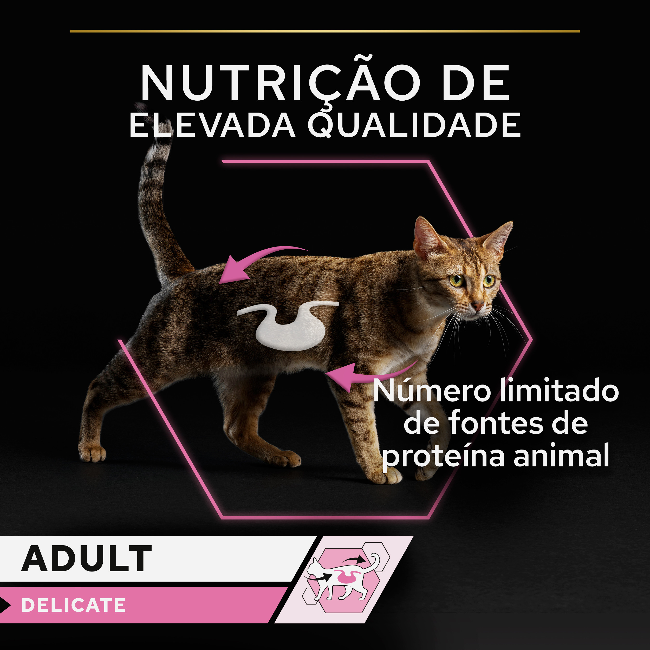 Pro Plan Delicate Digestion Mousse Adulto Peru - Image 3