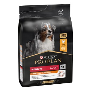 Pro Plan Everyday Nutrition Medium Adulto Frango - Image 12