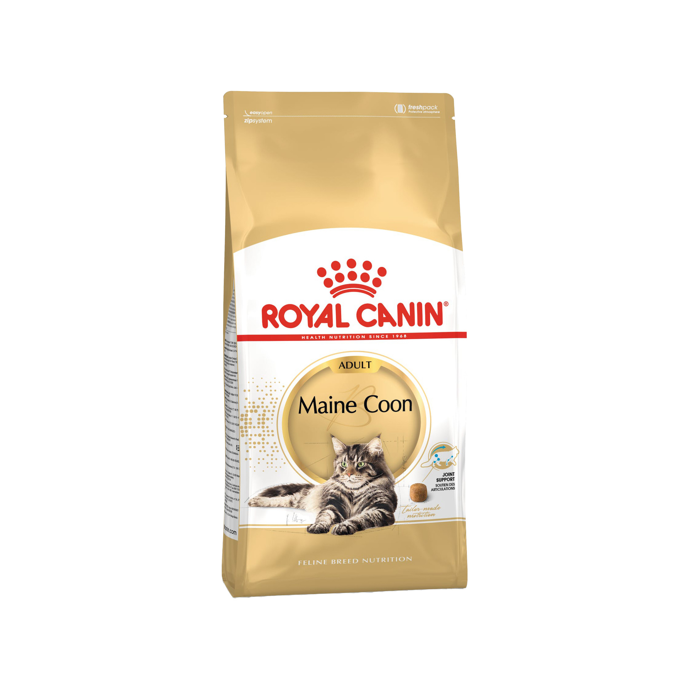 Royal Canin FBN Maine Coon - Image 2